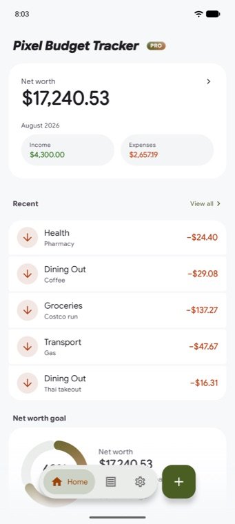 The Pixel Budget Tracker home screen, showing net worth, the month's income and expenses, and recent transactions
